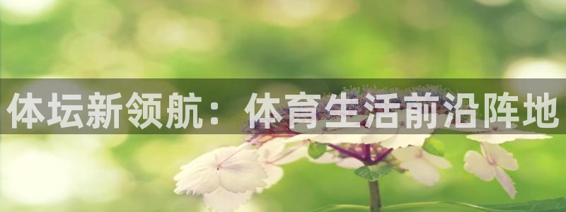 沐鸣代理