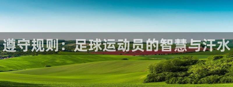 沐鸣2官网注册