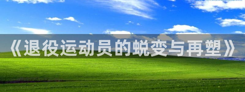 沐鸣2平台在线注册