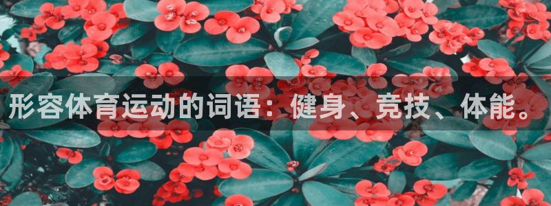 沐鸣kgame