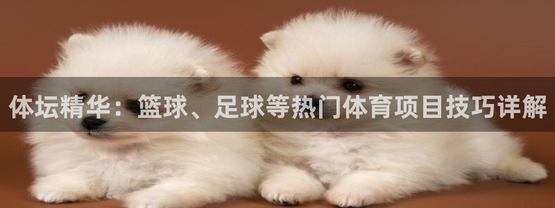 沐鸣娱乐2