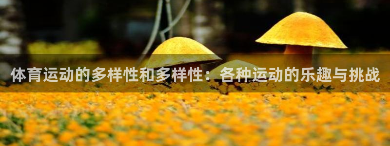沐鸣3官网