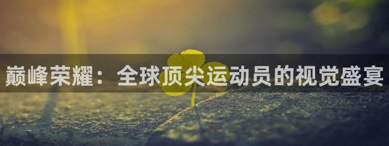沐鸣体育游戏