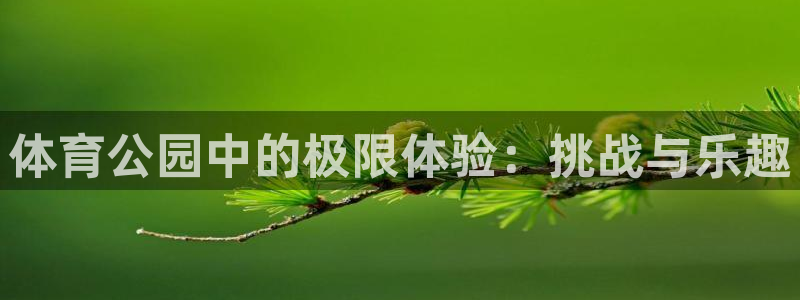 沐鸣4官网