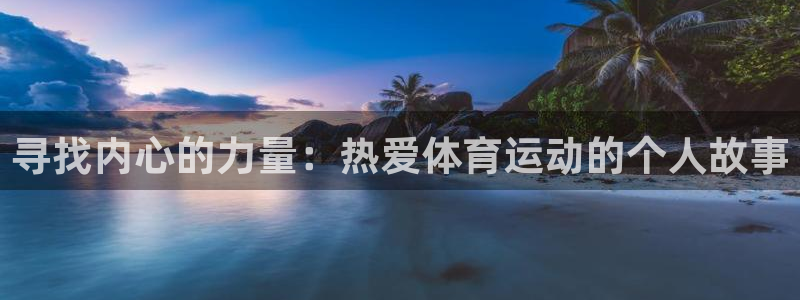 上海沐鸣汽车电子有限公司