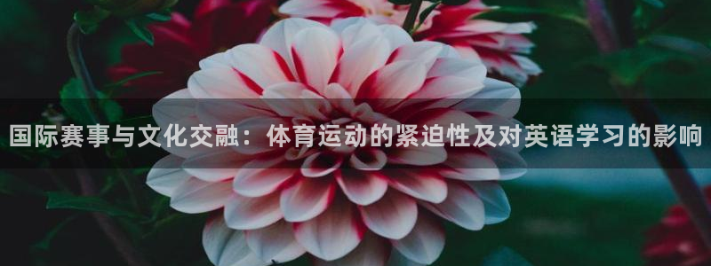 沐鸣体育平台注册
