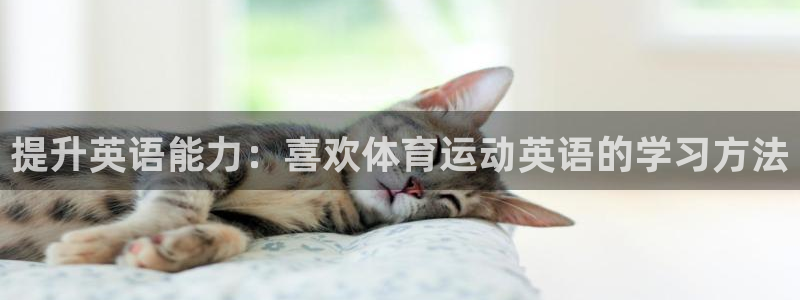 沐鸣包怎么样