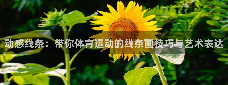 沐鸣体育在线注册