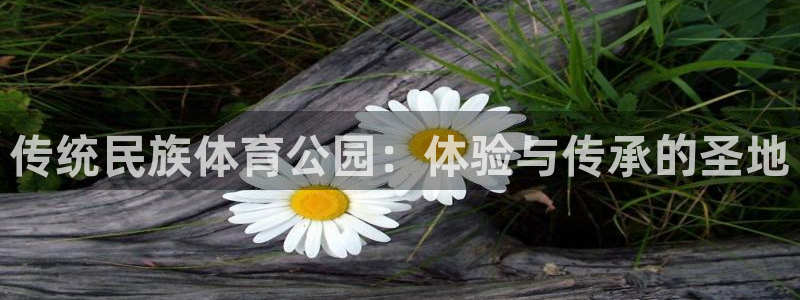 沐鸣2首页登录