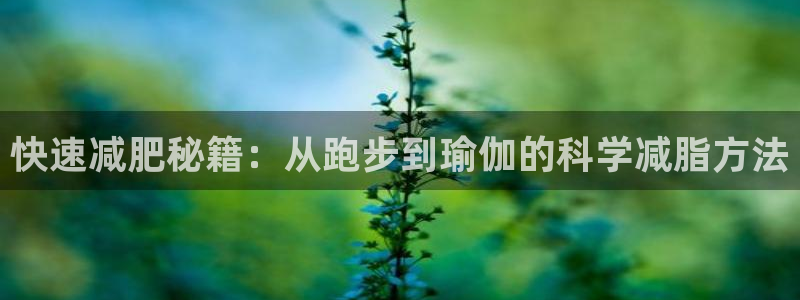 沐鸣体育平台登录入口